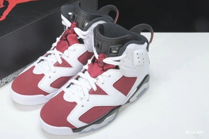  CT8529-106 (2021) 6 CARMINE JORDAN AIR 1204